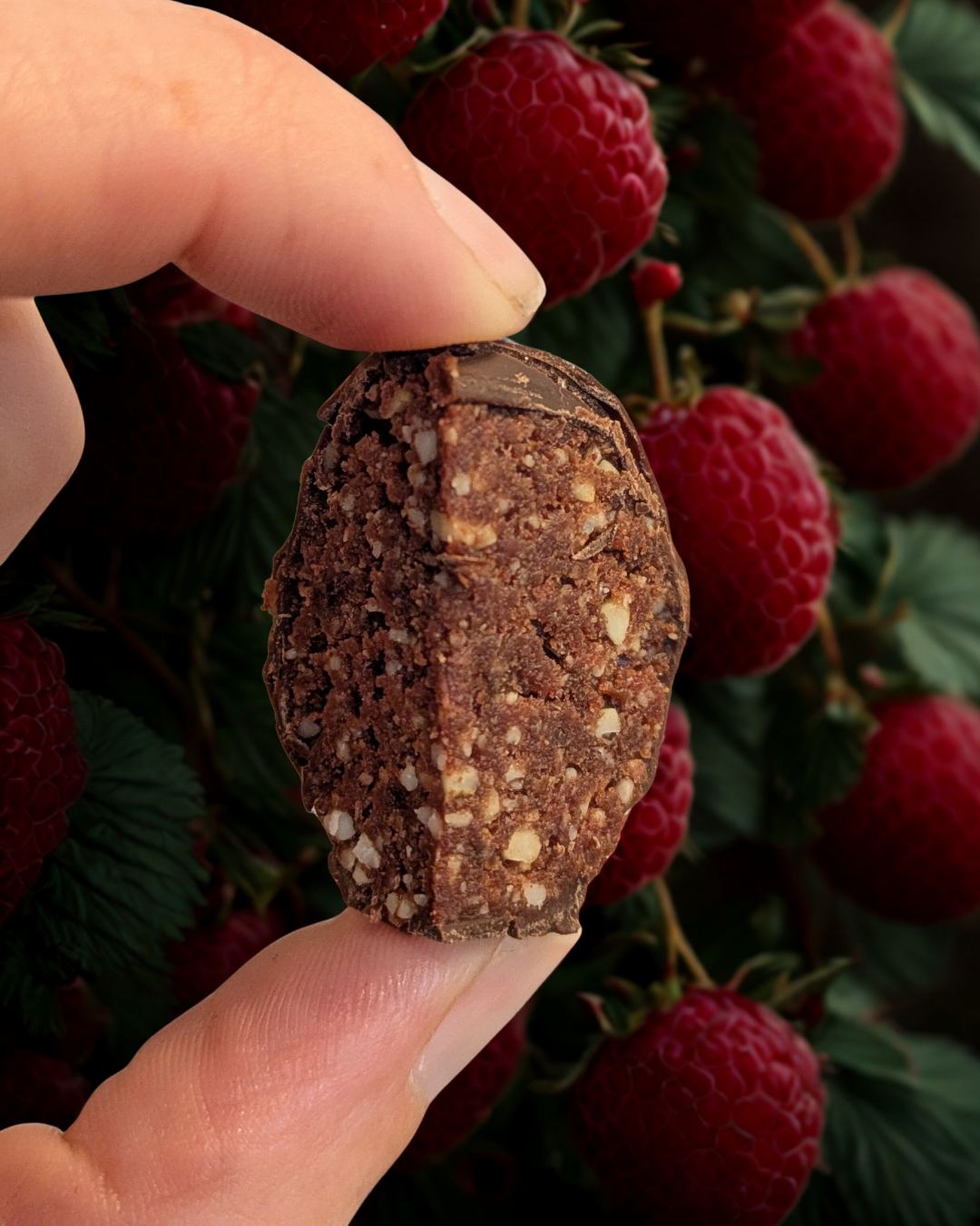 Raspberry Dark Chocolate Energy Bites