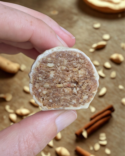 Cinnamon Bun Energy Bites